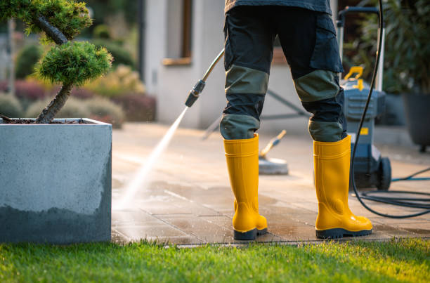 Best Deck Cleaning Services  in Lake Grove, NY